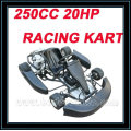 250CC 20HP RACING KART (MC-493)